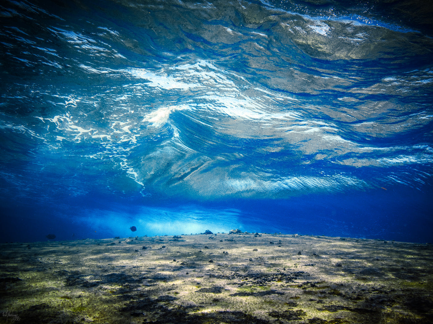 Wave Over the Witconcrete Wreck Wall Art Print – Turneffe Atoll, Belize