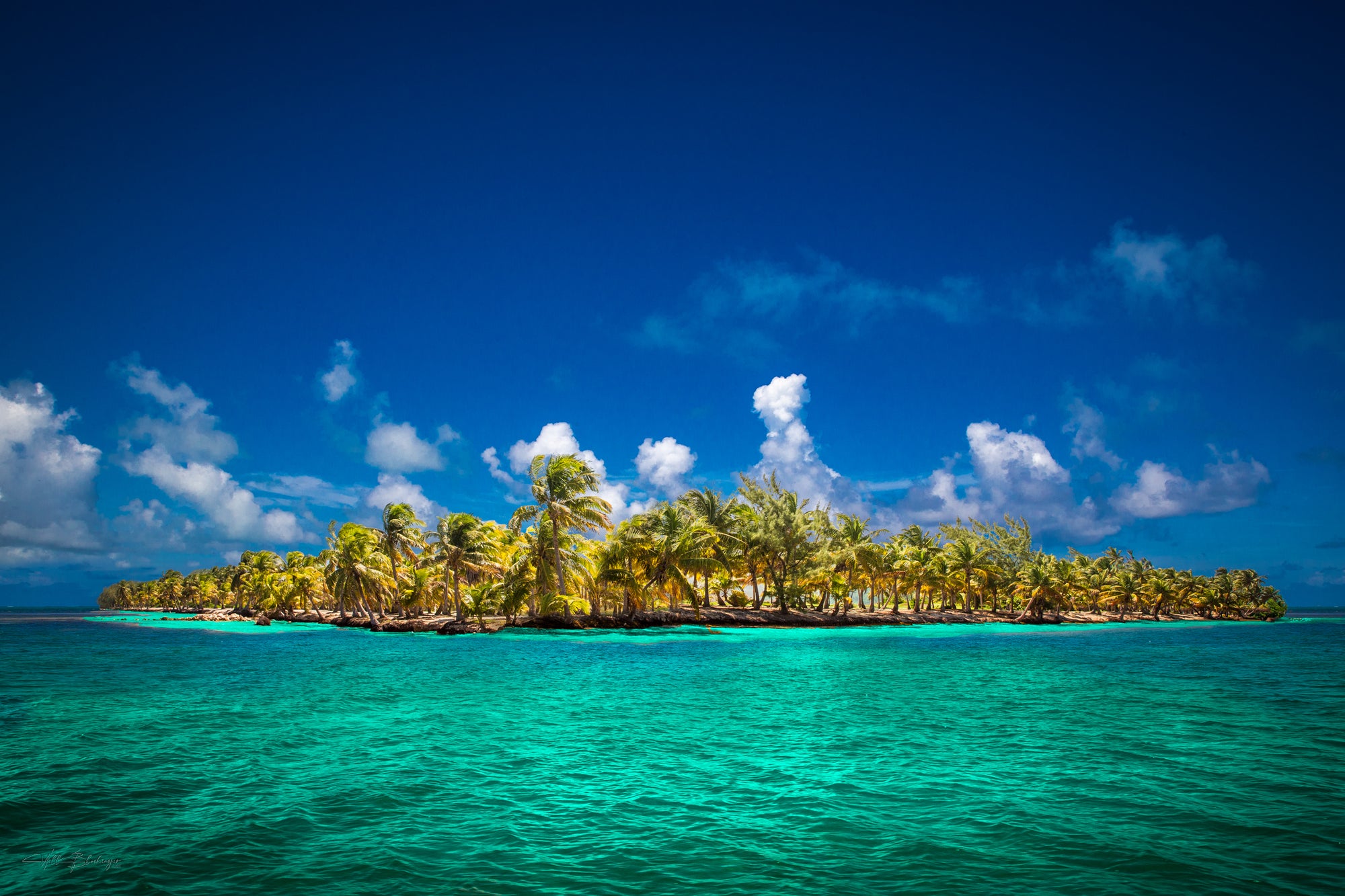 Island in Belize  with palm trees surrounded by clear blue water and a bright blue sky.